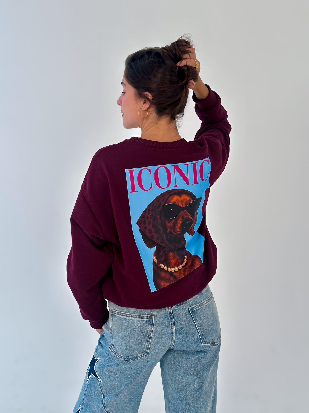 Sudadera Iconic
