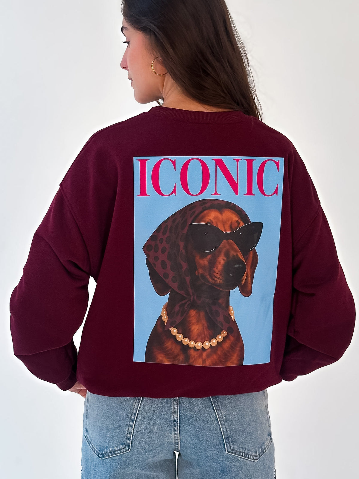 Sudadera Iconic