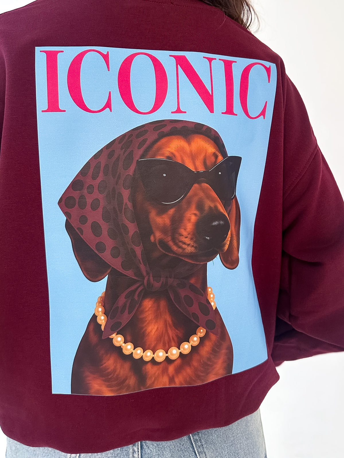 Sudadera Iconic
