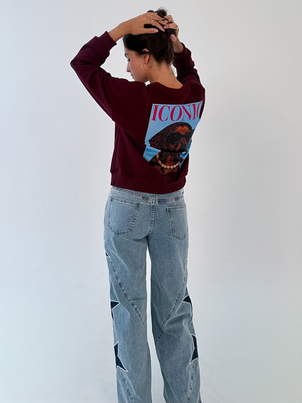 Sudadera Iconic