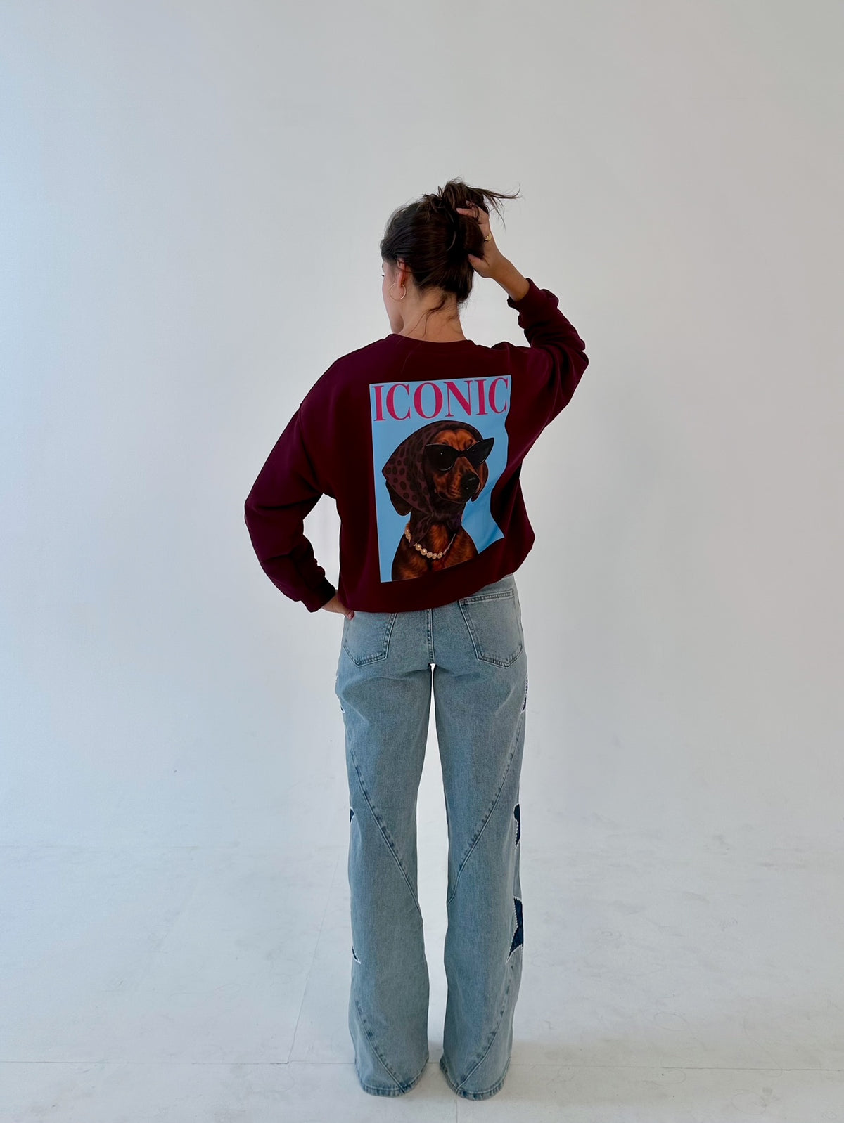 Sudadera Iconic