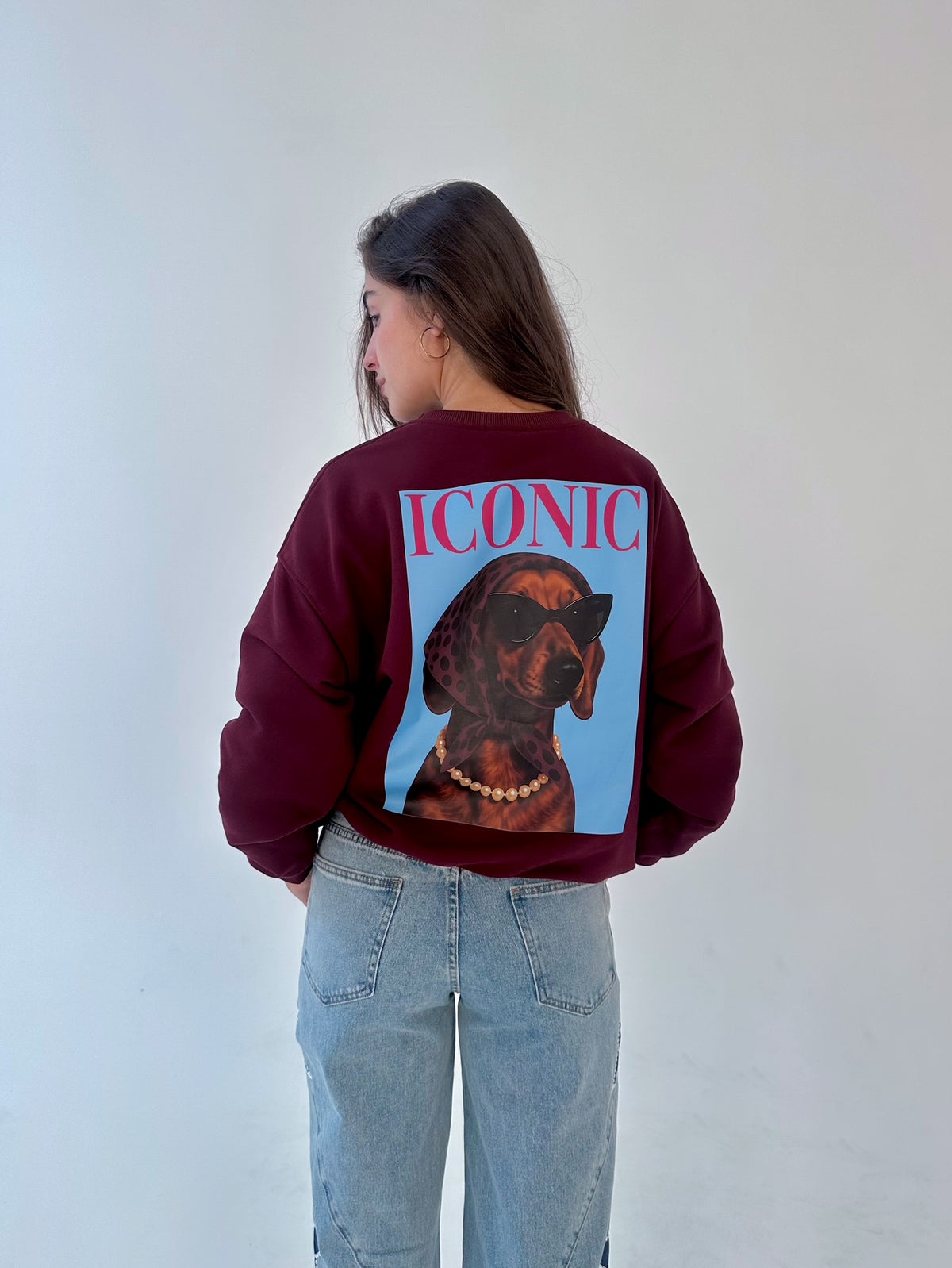 Sudadera Iconic