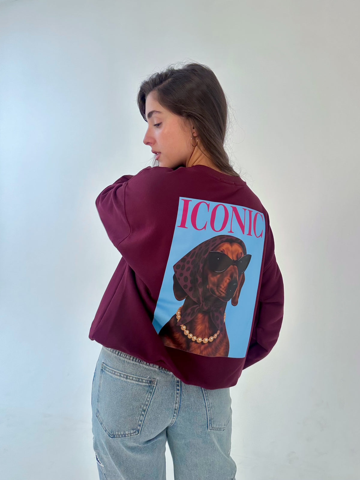 Sudadera Iconic