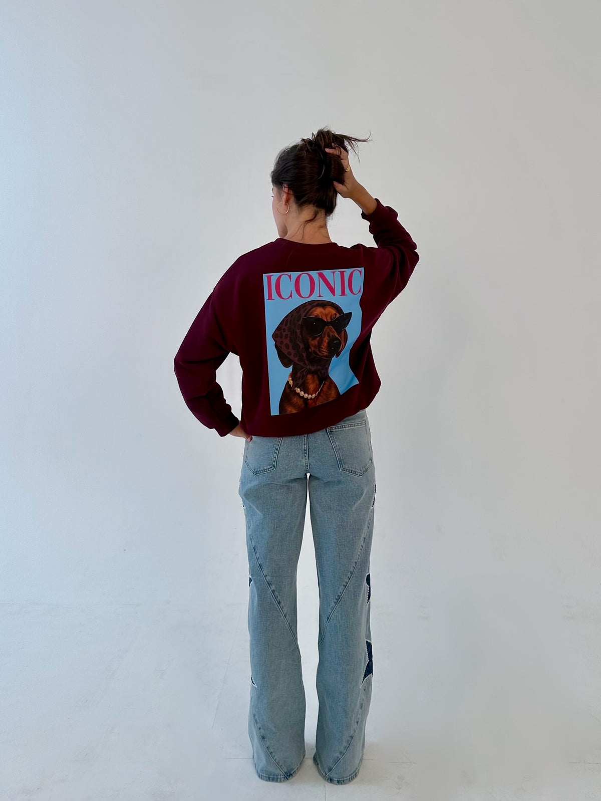 Sudadera Iconic
